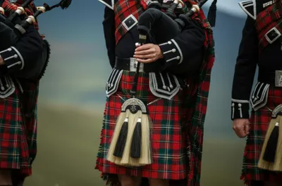 Illustration plaids - Image 1