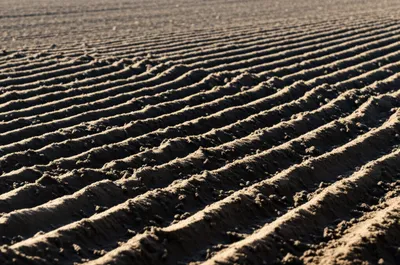 Illustration tilled - Image 1