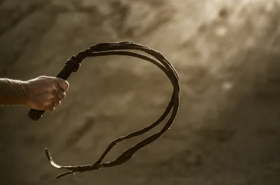 Illustration lashing