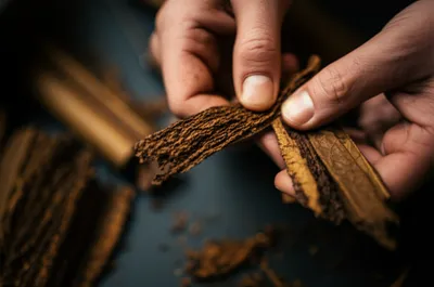 Illustration fillers - Image 1