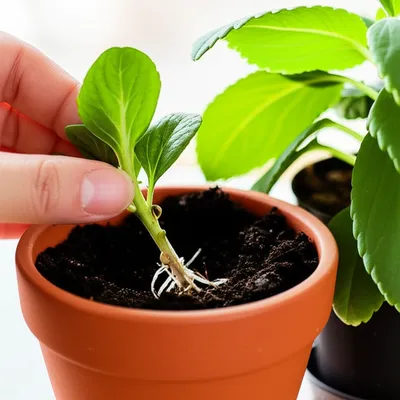 Illustration divest - Image 1