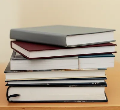 Hình ảnh minh họa 12mo - Ảnh 1