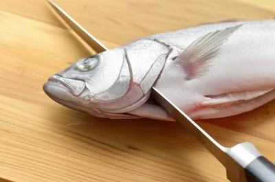 Illustration filleting - Image 1