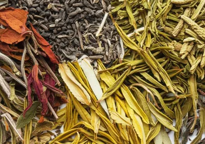 Illustration tea - Image 1