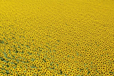 Illustration swarming - Image 1