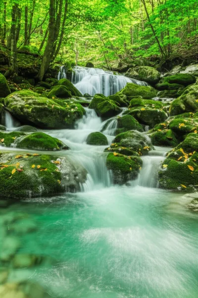 Illustration streaming - Image 1