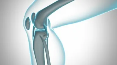 Illustration genua - Image 1