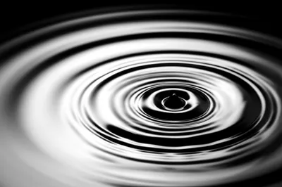 Illustration impress - Image 1