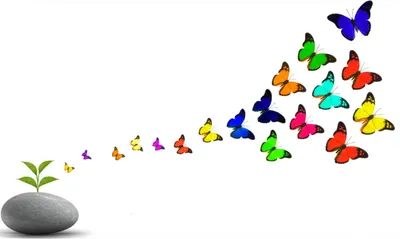 Illustration alter - Image 1