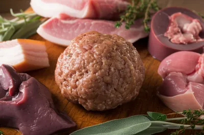 Illustration fagot - Image 1