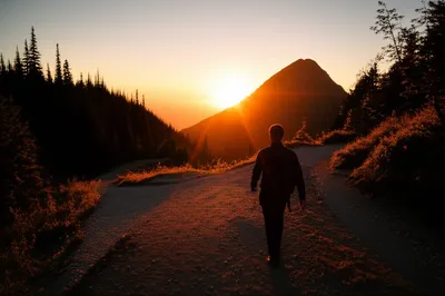 Illustration pursues - Image 1