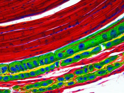 Illustration nonspecific - Image 1