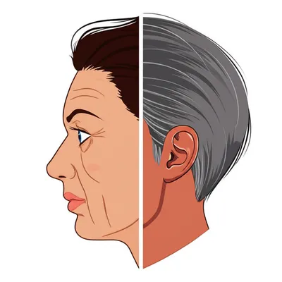 Illustration age - Image 1