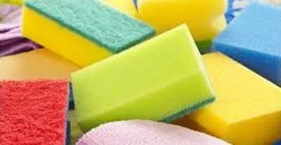 Illustration sponge - Image 2