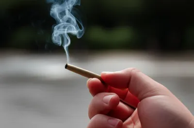 Illustration bun - Image 1