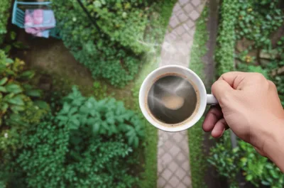 Illustration habitude - Image 1