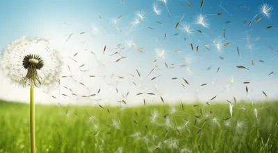 Illustration distributed - Image 1