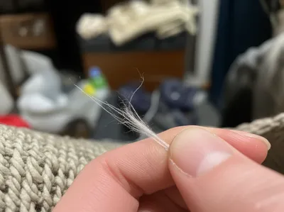 Illustration fretful - Image 1