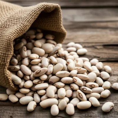 Illustration haricot