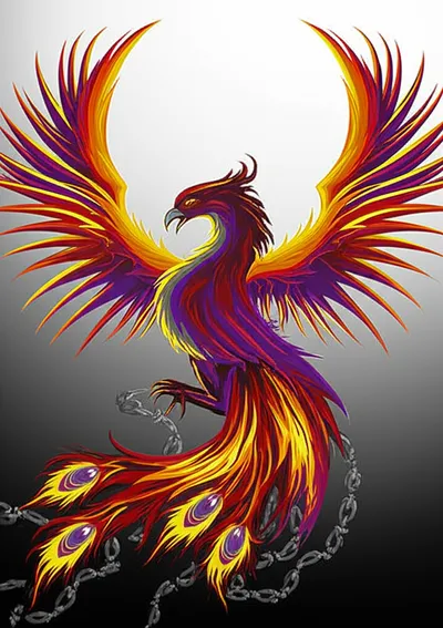 Illustration reformation