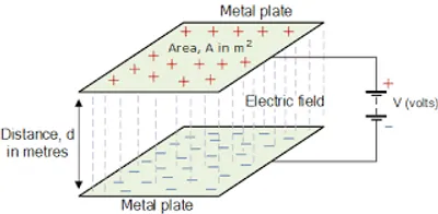 Illustration plate - Image 2