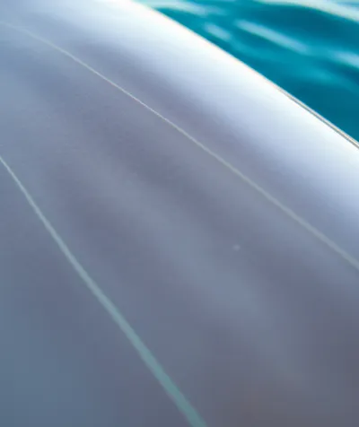 Illustration peduncles - Image 1