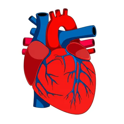 Illustration pumping - Image 1