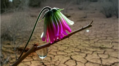 Illustration mortifying - Image 1