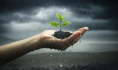 Illustration covers - Image 1