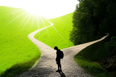 Illustration fork - Image 1