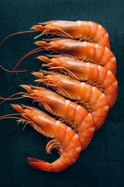 Illustration prawns - Image 1