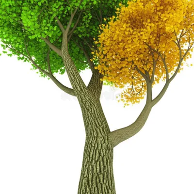 Illustration forking - Image 1