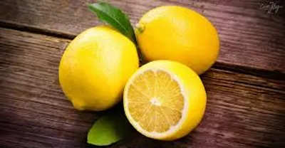 Illustration lemon - Image 2