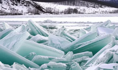 Illustration shove - Image 1