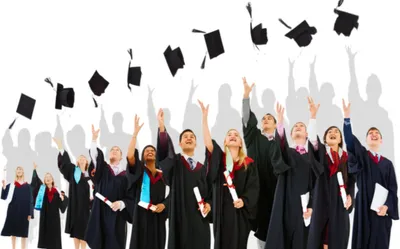 Illustration cohort - Image 1