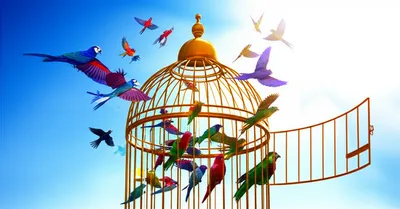 Illustration leases - Image 1