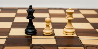 Illustration skewers - Image 1