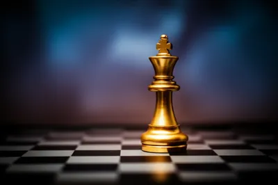 Illustration odd - Image 1