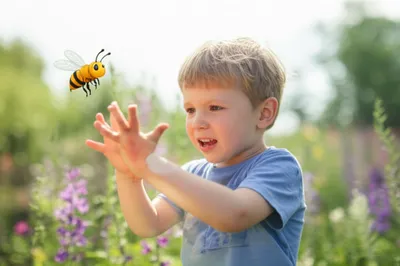 Illustration stinging - Image 1