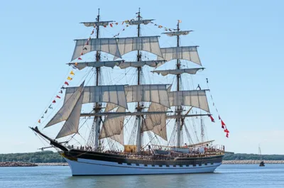 Illustration dressed - Image 1