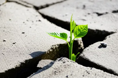 Illustration counteracts - Image 1