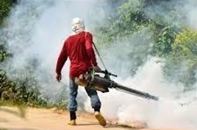 Hình ảnh minh họa sulfur - Ảnh 2