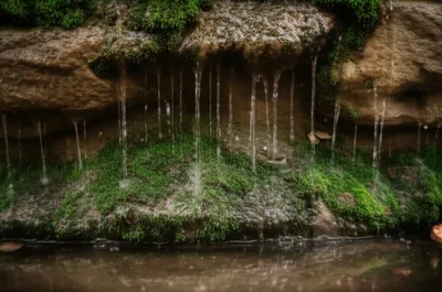 Illustration seeps - Image 1