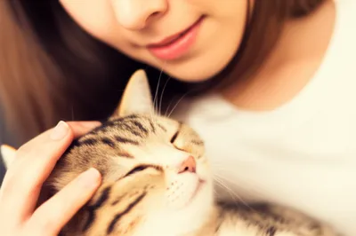 Illustration aw - Image 1