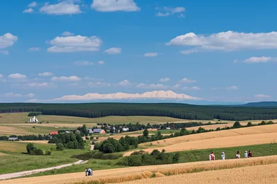 Illustration oblast - Image 1