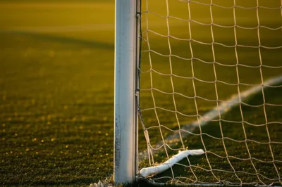 Illustration woodwork - Image 1