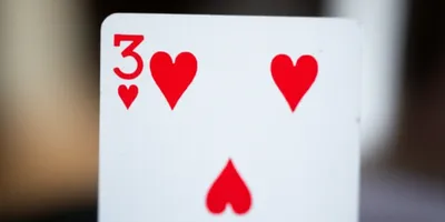 Illustration pip - Image 1