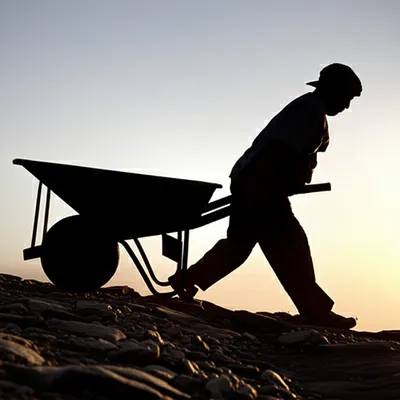 Illustration toils - Image 1