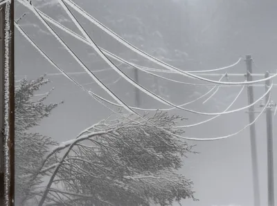 Illustration gallops - Image 1