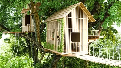 Illustration treehouse - Image 1